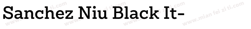 Sanchez Niu Black It字体转换